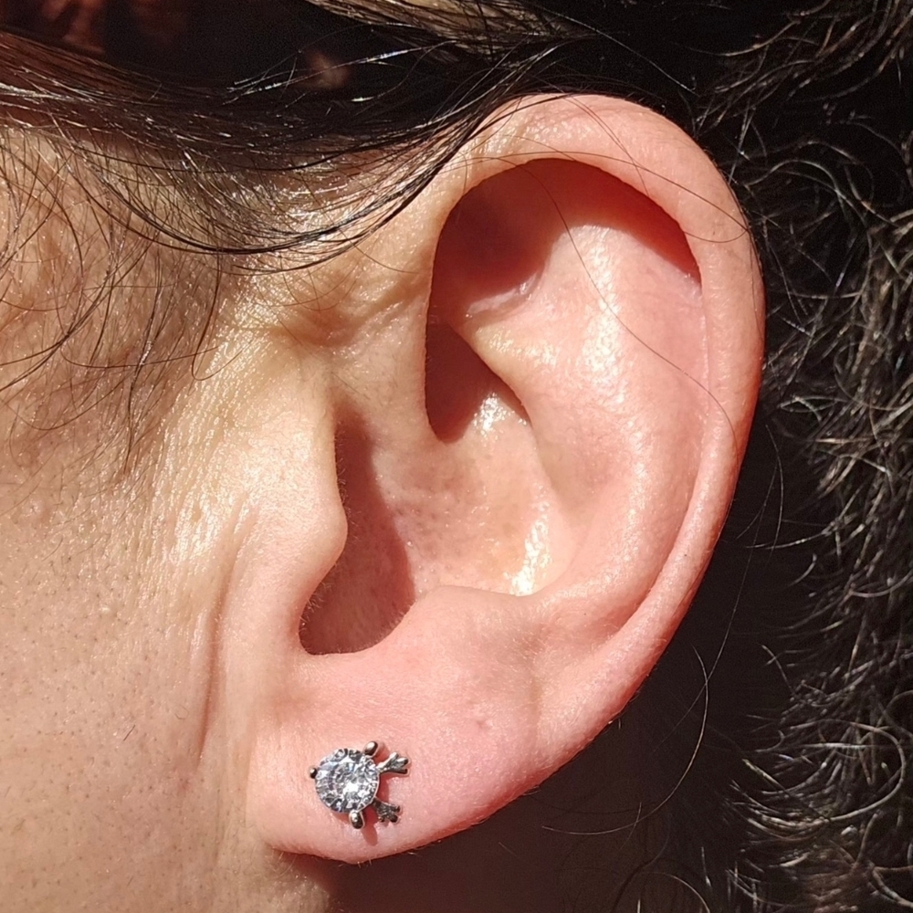 Chic Silver Turtle Stud Earrings - image 1